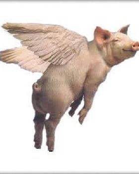 WhenPigsFlyIcon001