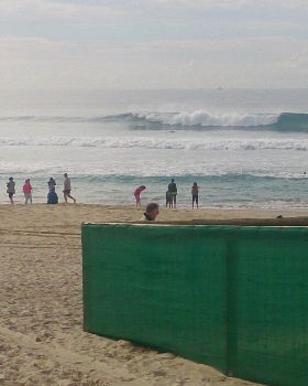 Surfing
