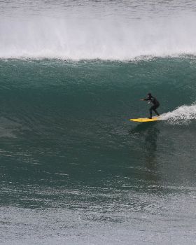 Surfing