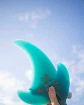 beau young fins