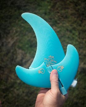 beau young fins