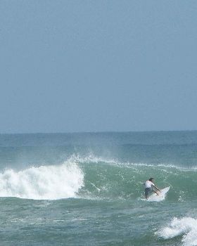 Surfing