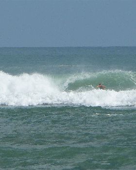 Surfing