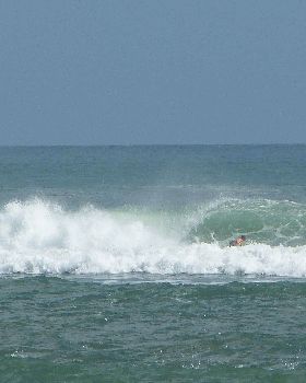 Surfing