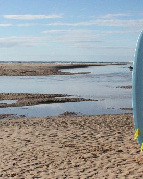 Surfing