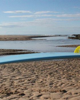 Surfing