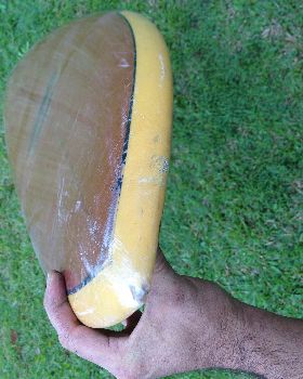 shaped by cole smith