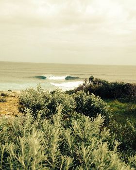 photo 2 (23)