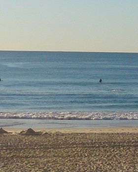 Surfing