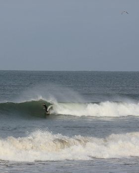 Surfing