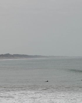 Surfing