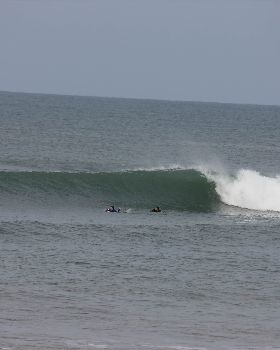 Surfing