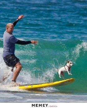Surfing