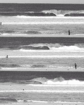 The local the other day