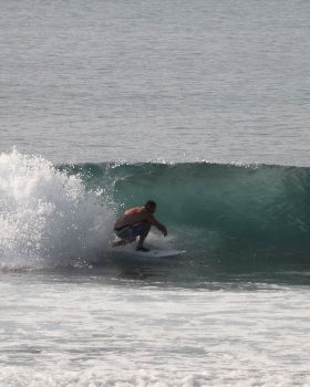Surfing