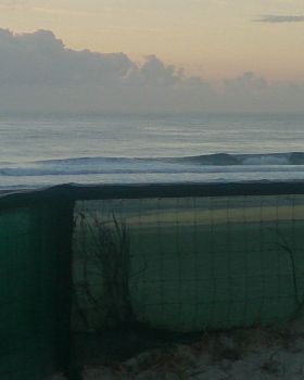 Surfing
