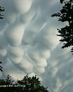 Hastings, Nebraska. 