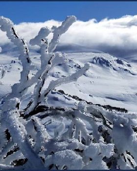 Back Country 