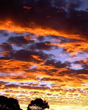 WA Sunset