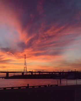 Sunset over Victoria Harbour and Bolte Bridge 