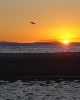 sunset