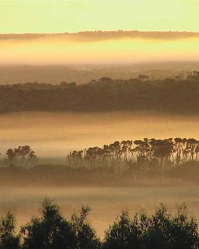 misty morning