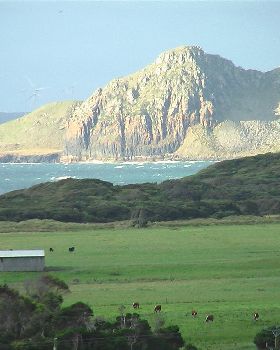 windy westerly