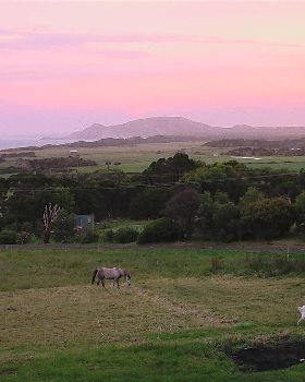 pink sunset