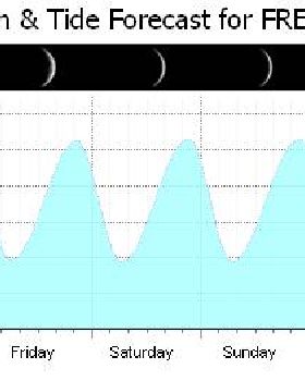 Mixed semidiurnal tides