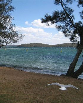 30 knot westerly wind