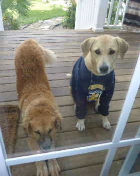 Sandy in cold weather gear