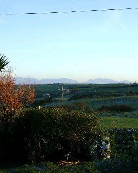 DSC00211