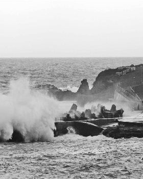Savage Seas