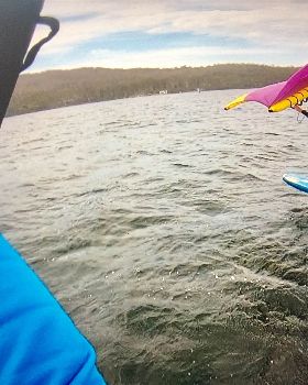 Wind Wings