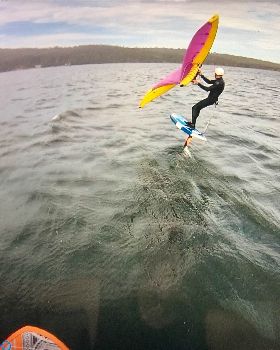 Wind Wings