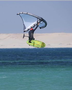 Wind Wings