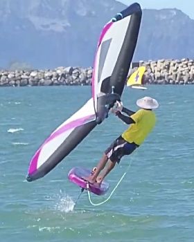 Wind Wings