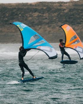 Wind Wings