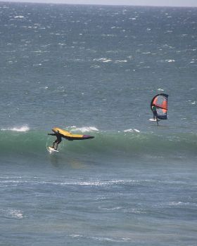Wind Wings