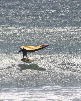 Wind Wings