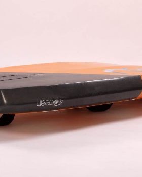 T-Bird13