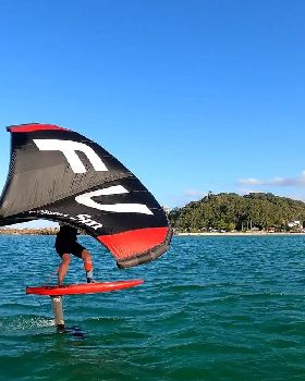Wind Wings