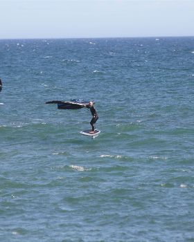 Wind Wings