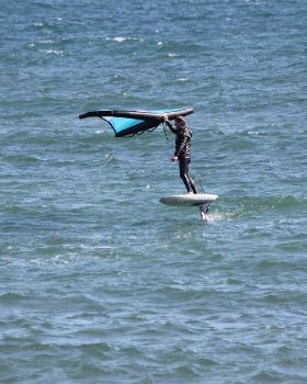 Wind Wings