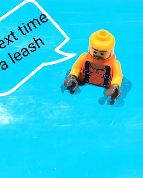 lego wing