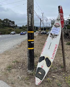 2021 Free Windsurfer