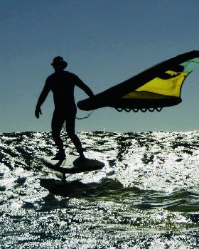 Wind Wings