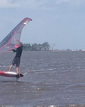 Wind Wings