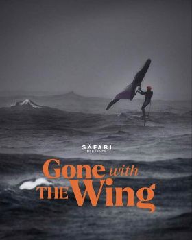 Wind Wings