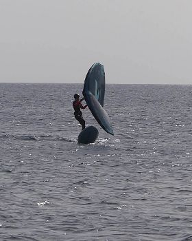 Wind Wings